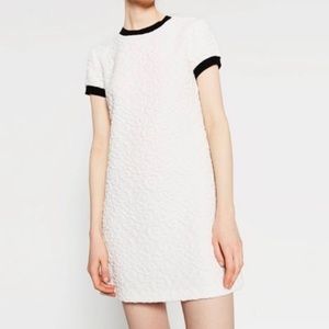 Zara White Mini Dress with Black Trim